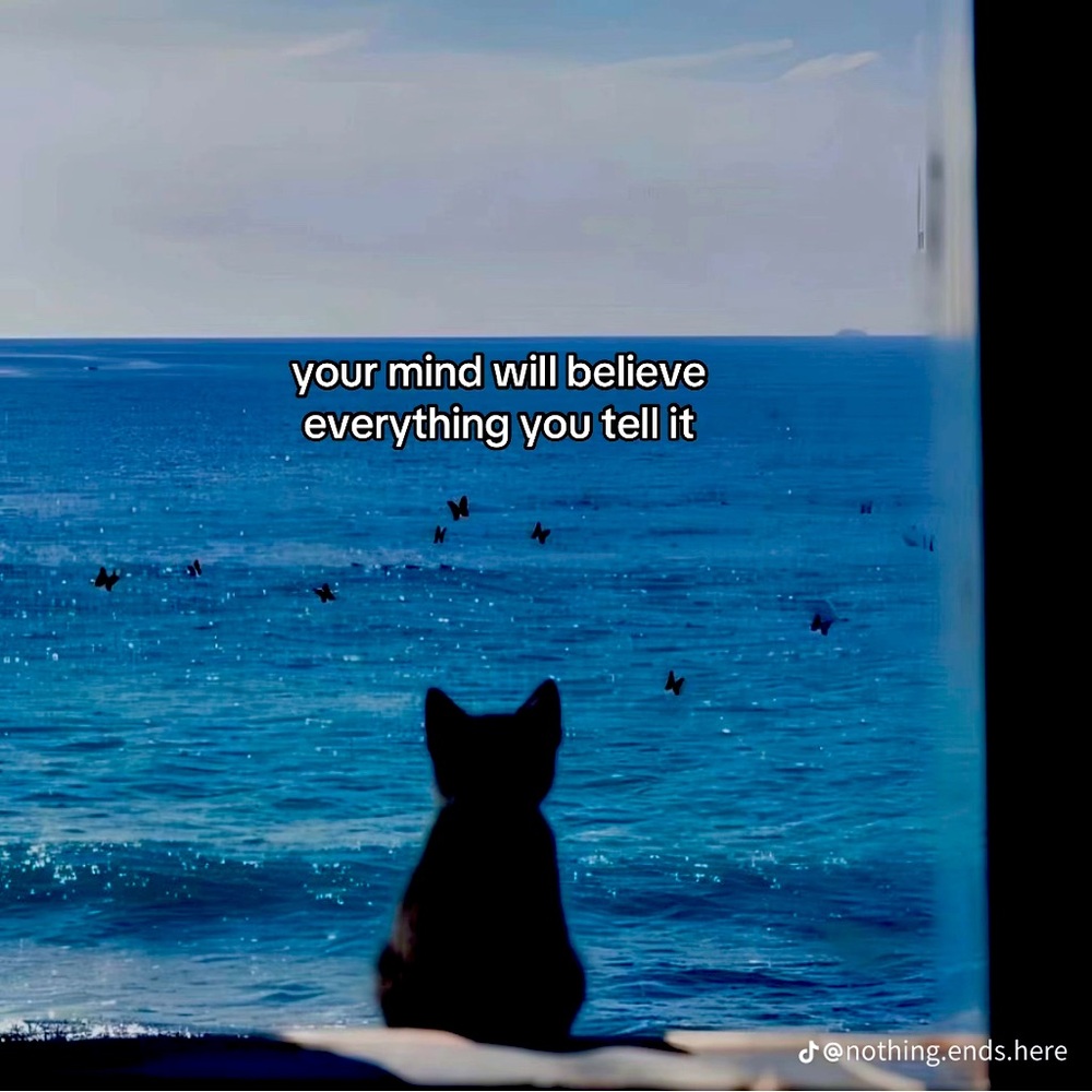 Your mind will believe everything you tell it